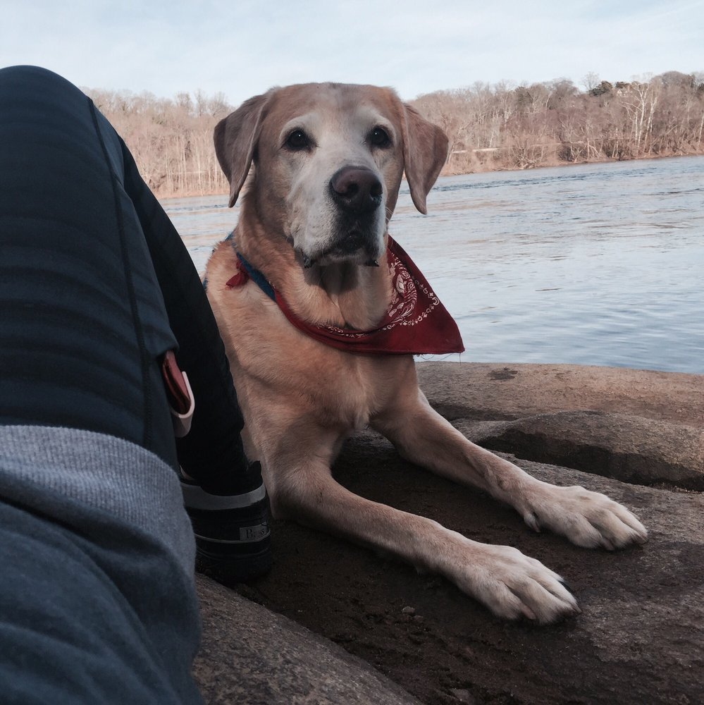 Pony Pasture 7200 Riverside Dr, Stratford Hills, Richmond, VA 2019