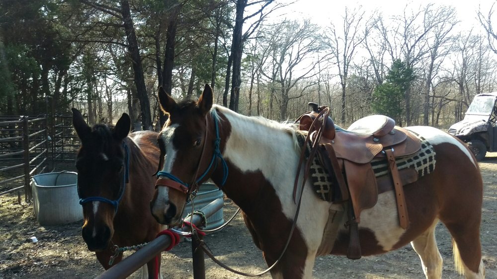 Rockin Ranch 12 Photos Horseback Riding Pottsboro, TX Phone