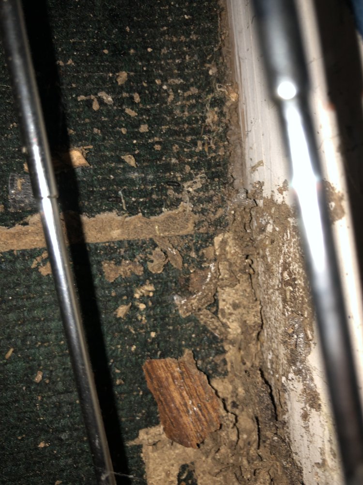 Neuse Termite & Pest Control