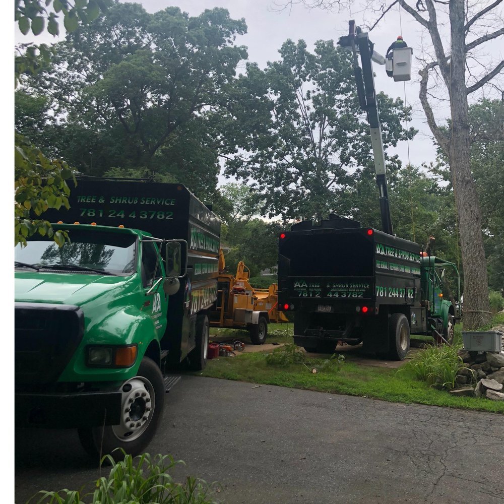 Aa Tree and Shrub Service