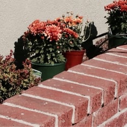 Armstrong Garden Centers 58 Photos 30 Reviews Nurseries Photo Of Armstrong Garden Centers La Canada Flintridge Ca United States Planting