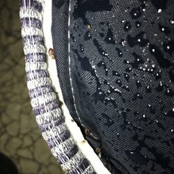 bed bug exterminator detroit