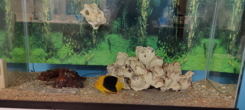Coral Sea Aquariums Image