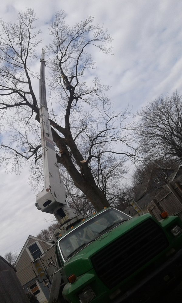 Millers Tree Service Landscaping 1630 Pittsburgh Ave