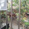 Café del Mundo