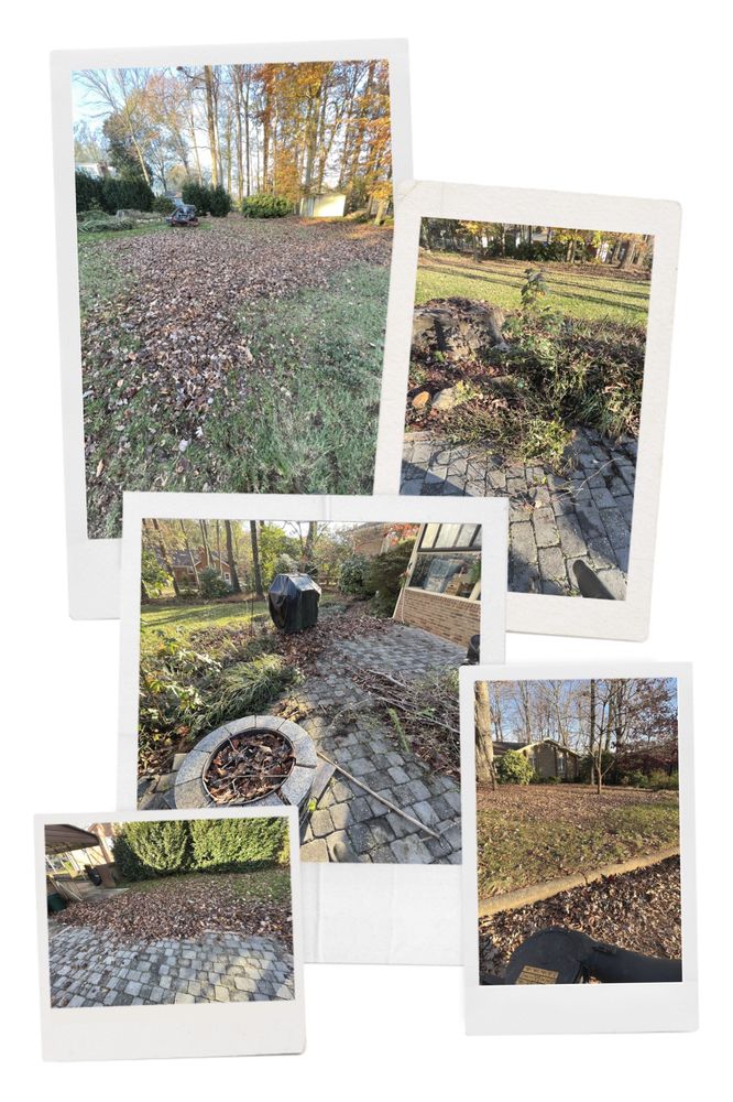 All Around Lawn Care