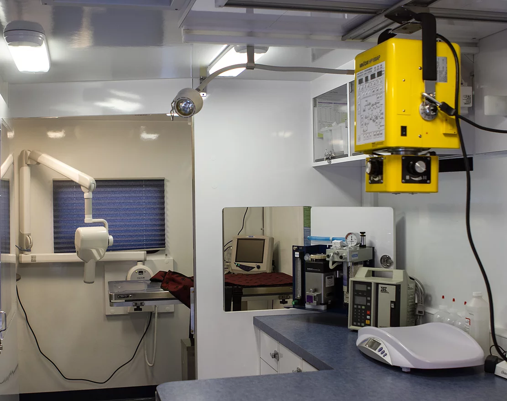 Valet Vet Mobile Veterinary Services 28 Reviews Veterinarians