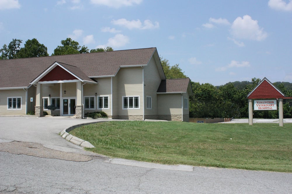 Volunteer Veterinary Hospital 17 Photos Veterinarians 3039 Alcoa