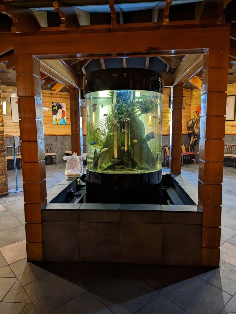 Hiro Japanese Steak House