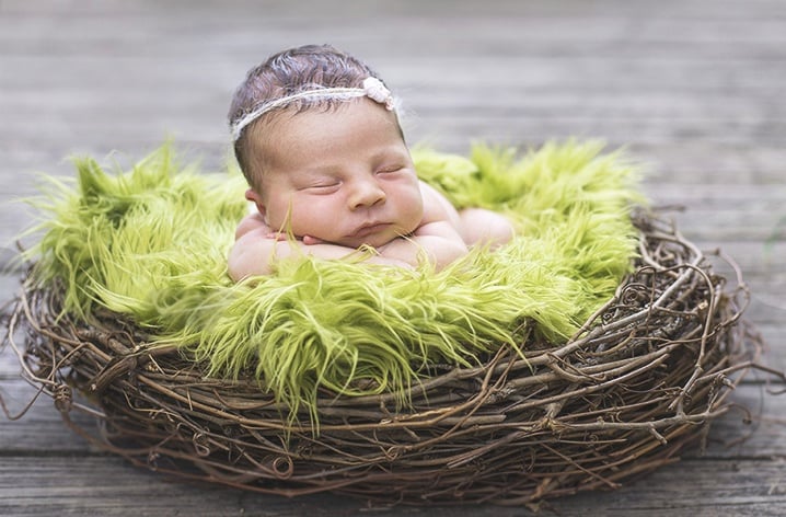 E B Hall Photography