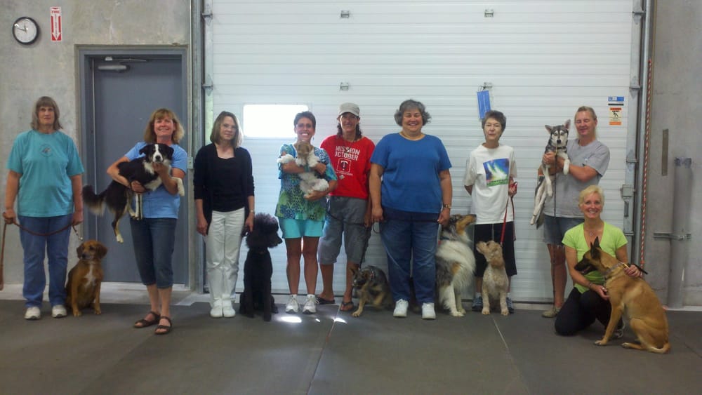 Dog Training Burnsville Mn Dog Training Burnsville Mn