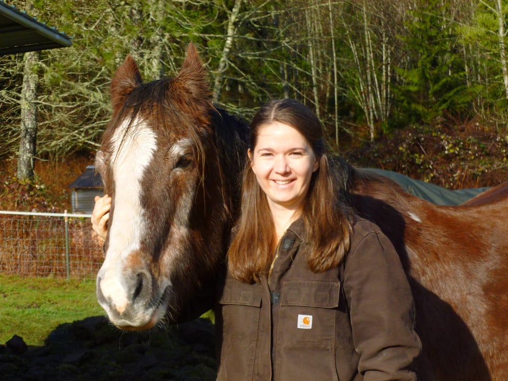 Arlington Veterinary Hospital 14 Photos & 11 Reviews Veterinarians