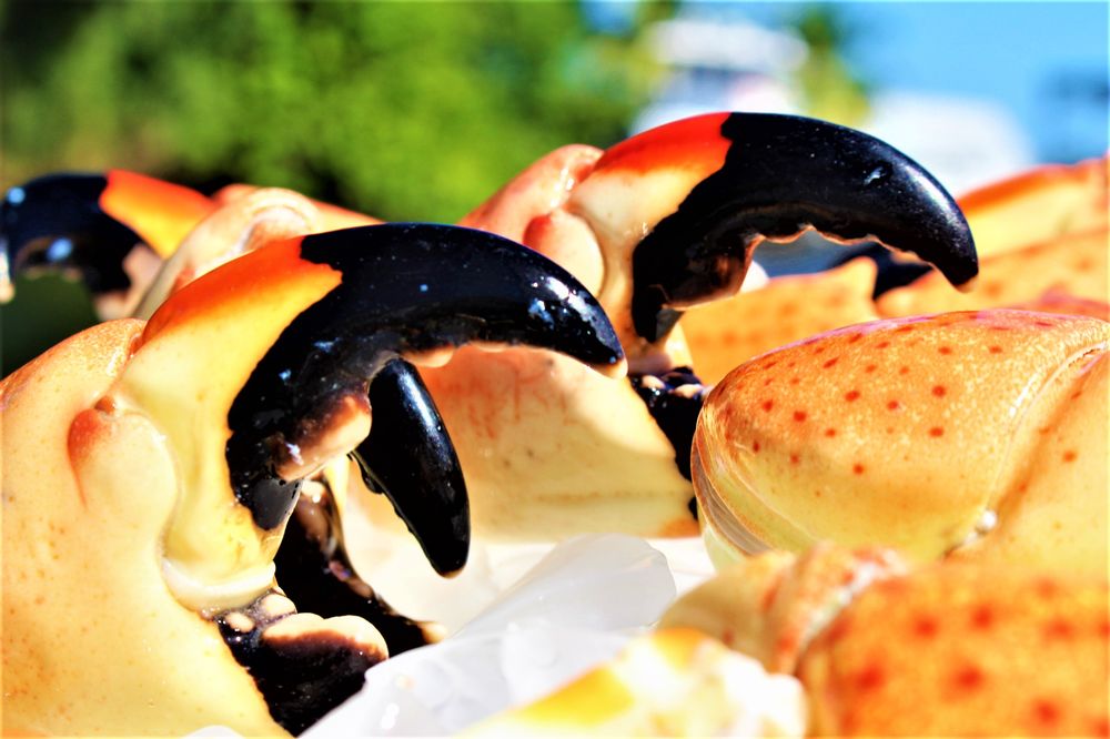 Garcia Bros Seafood