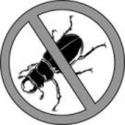Advanced Termite Pest Control 1671 Hwy 70 E Photo Of Advanced Termite Pest Control Crossville Tn United States