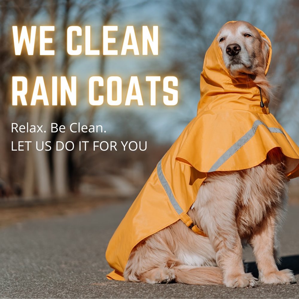 Port Moody Busy Bee Drycleaners