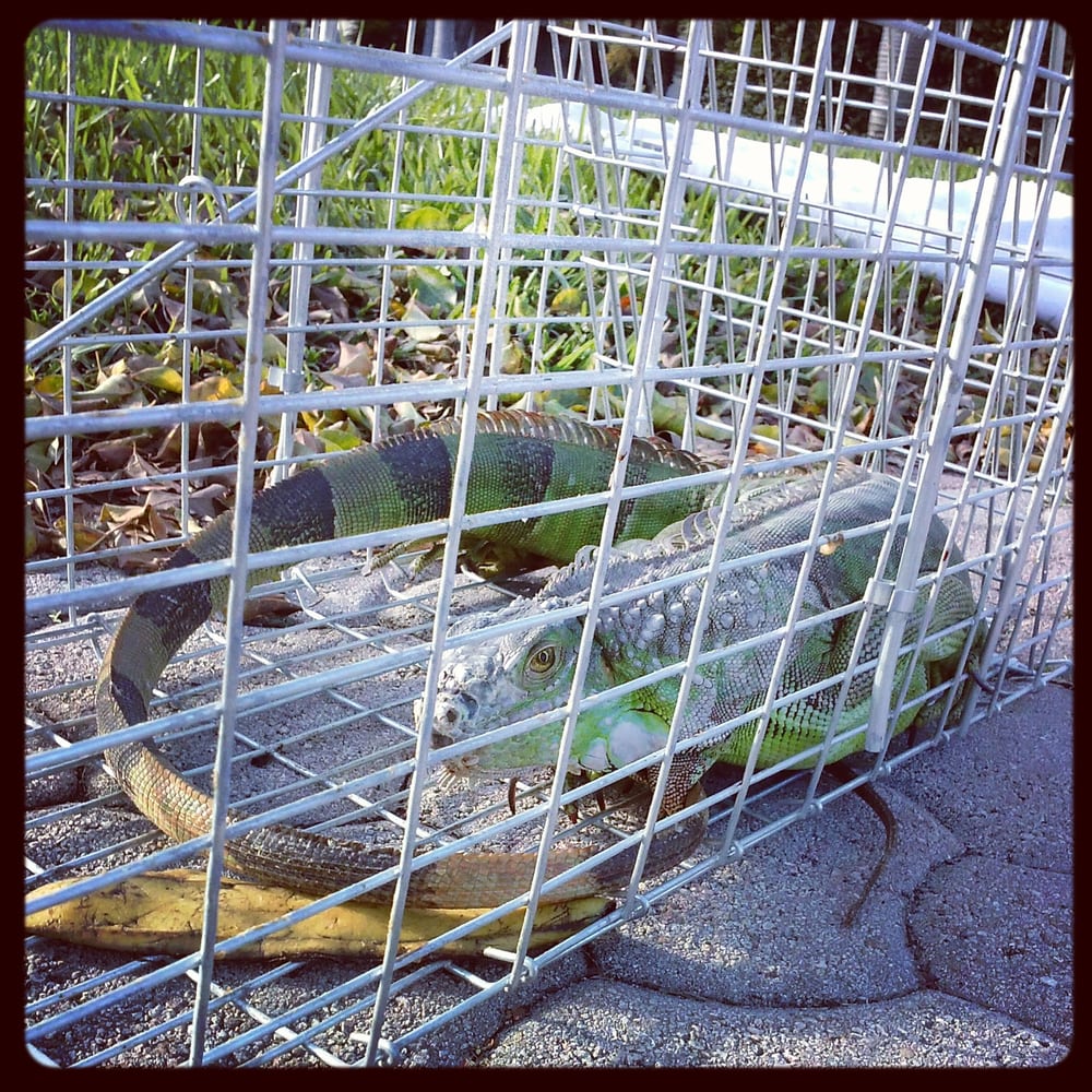 Specialized Pest Control