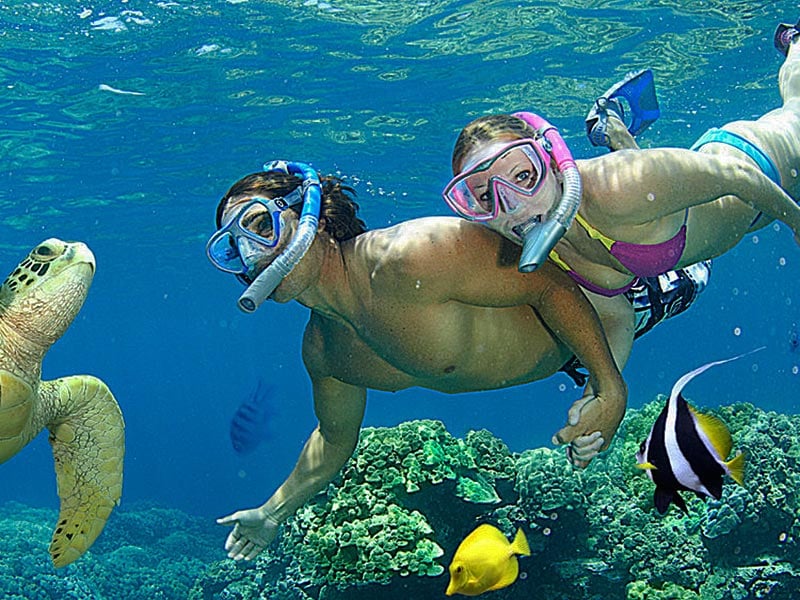 Napali Seabreeze Tours - 30 Photos &amp; 33 Reviews - Boat ...