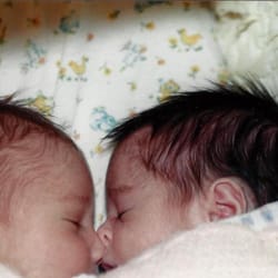 Commit error. lactation twin lesbian Apologise, but, lactation twin lesbian