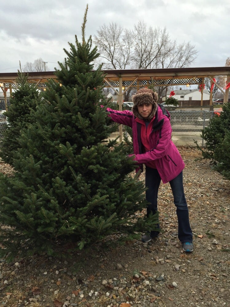 Barson’s Greenhouses 18 Photos Nurseries & Gardening 6414 N