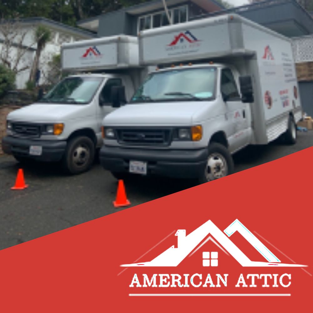 American Attic