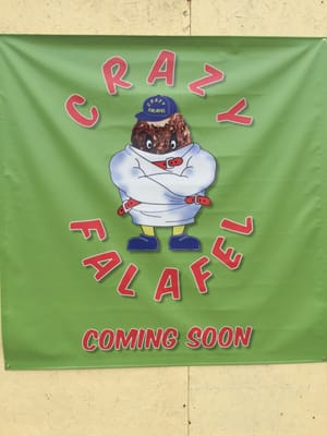 Crazy Falafel