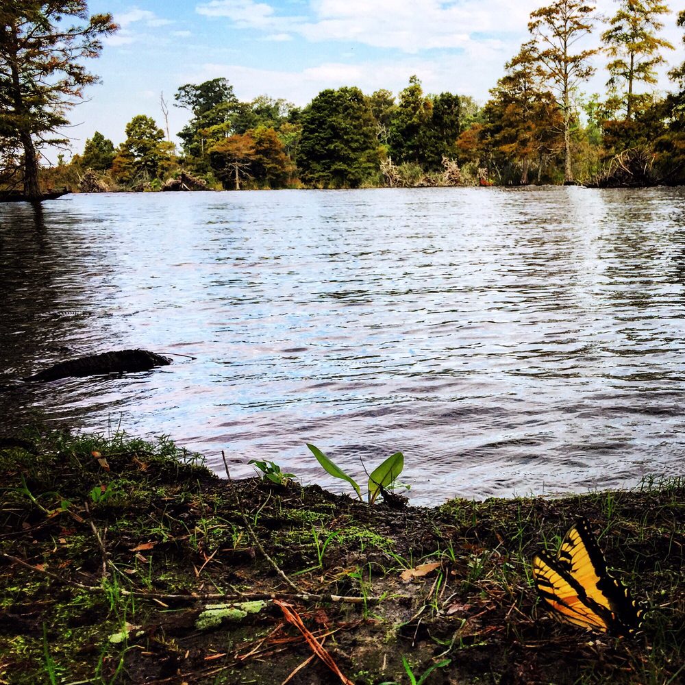 Munden Point Park 46 Photos & 13 Reviews Parks 2001 Pefley Ln