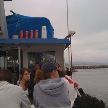 Dana wharf whale watching coupons