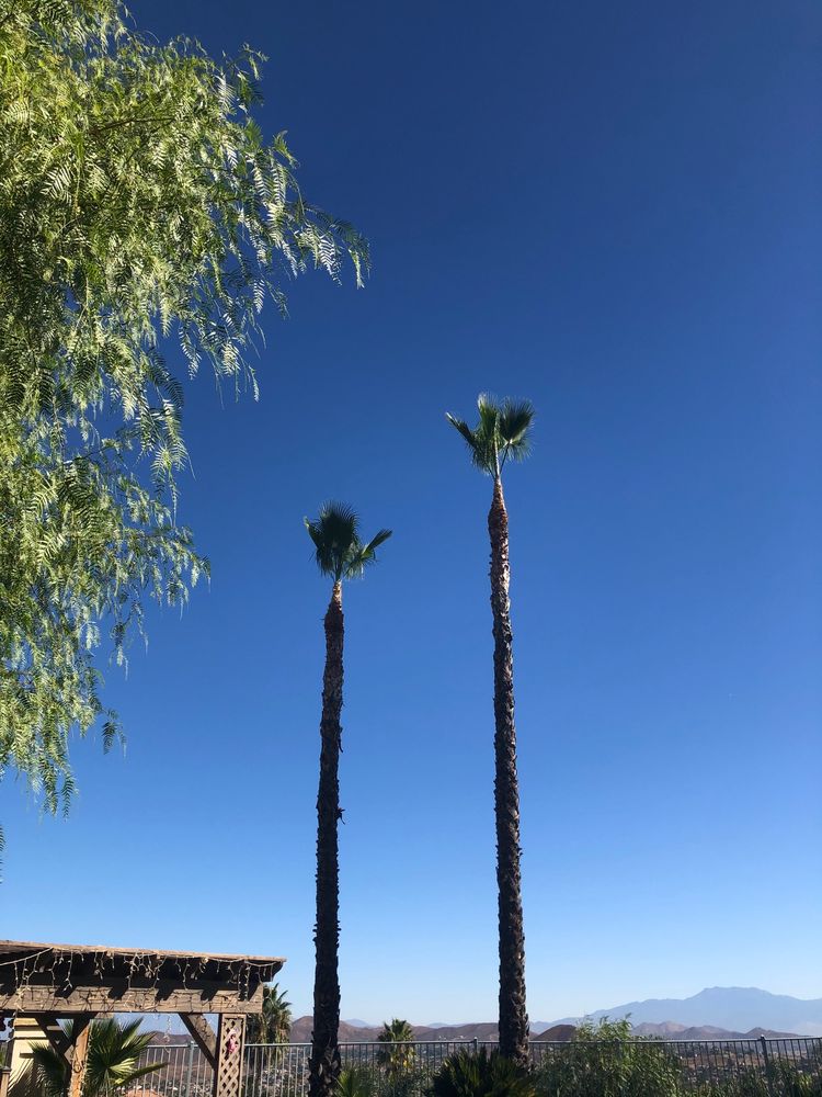 Menifee Tree Service