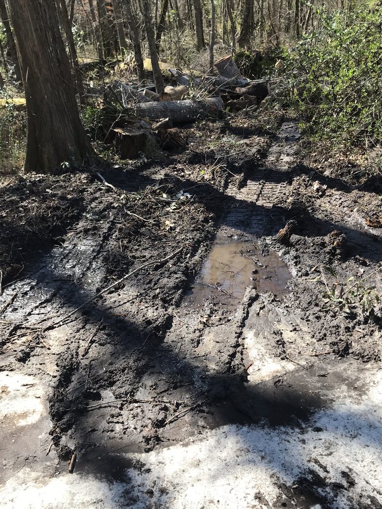 Top Flight Tree Service