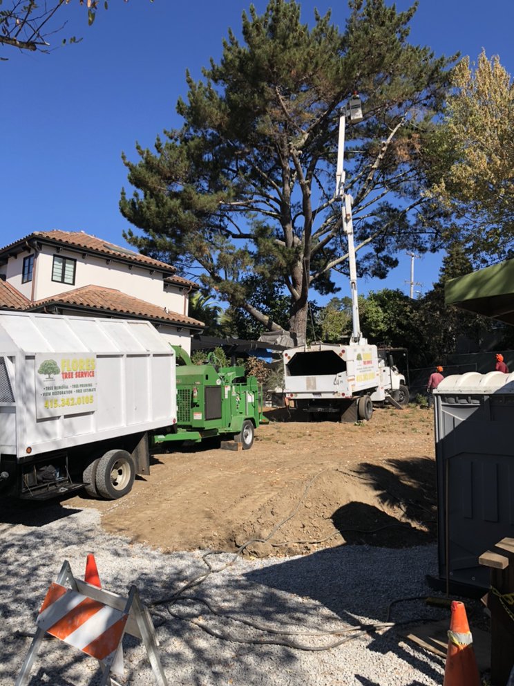 Flores Tree Service