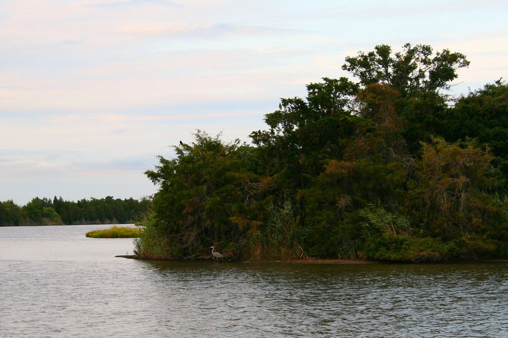 Matt’s Landing Heislerville Wildlife Management Area Parks Matts