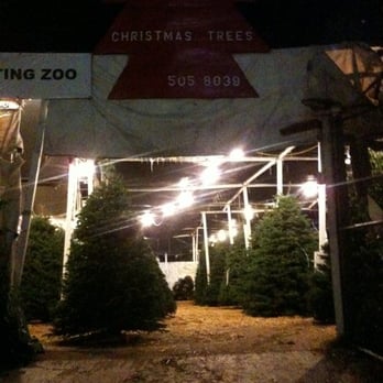 Toluca Lake Christmas Trees - 23 Reviews - Christmas Trees - 10601 Photo of Toluca Lake Christmas Trees - North Hollywood, CA, United States - Toluca Lake Christmas Trees - 23 Reviews - Christmas Trees - 10601