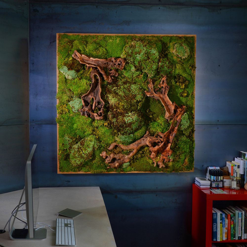 image of business Plant Solutions