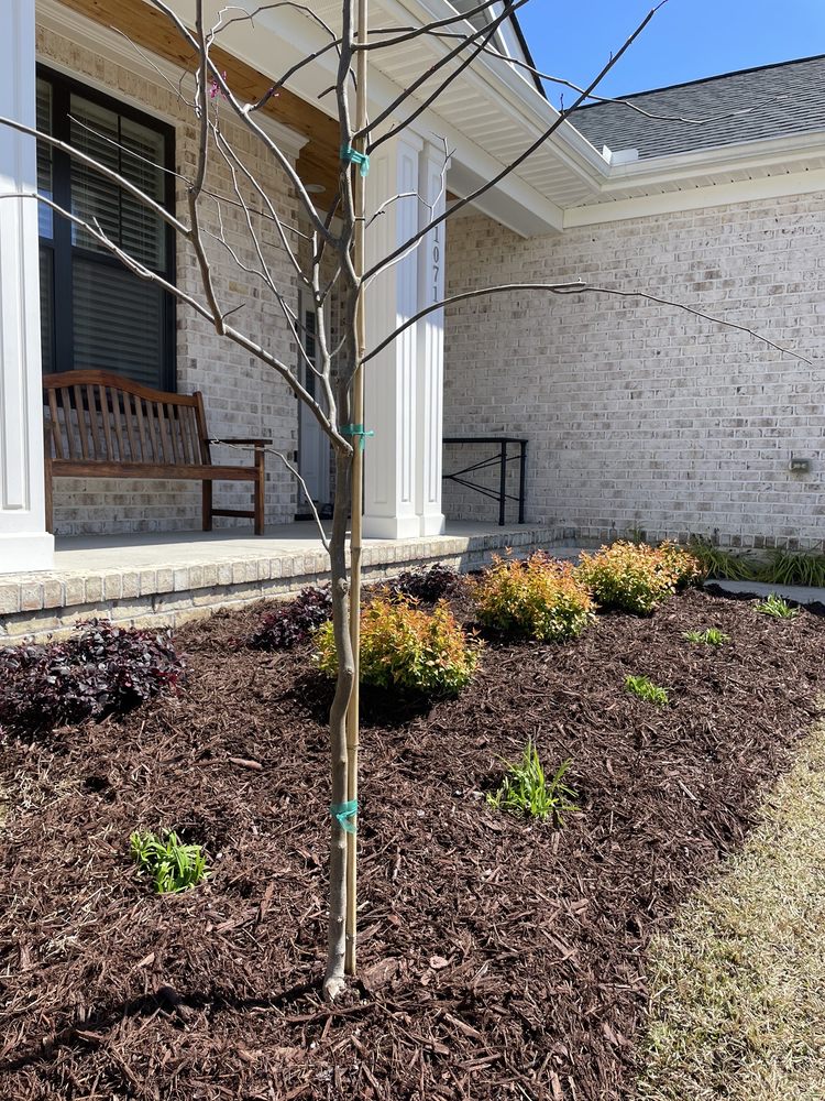 Blooms & Branches Garden Center