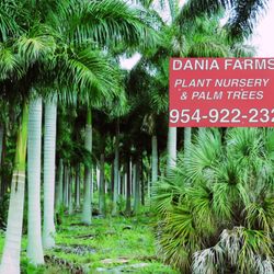 Dania Farms Nurseries Gardening 704 N Federal Hwy Fl Photo Of Dania Farms Fl United States