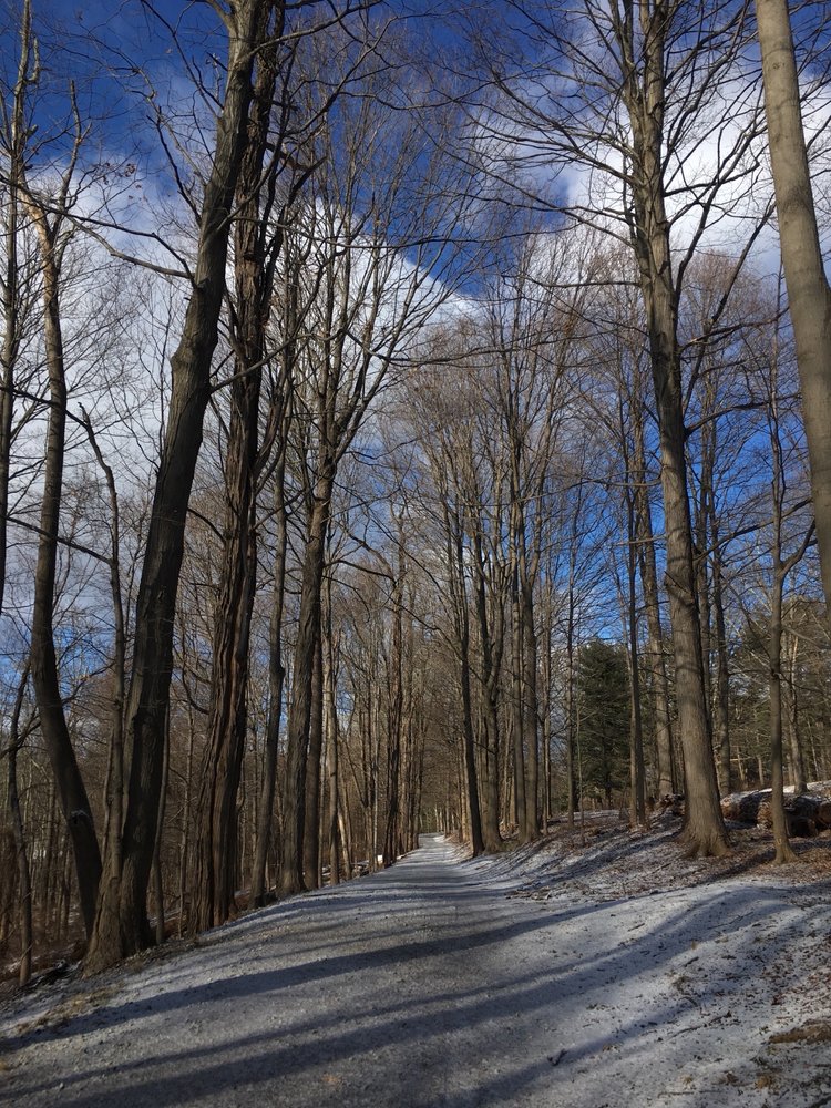 Franklin D Roosevelt State Park 55 Photos & 18 Reviews Swimming