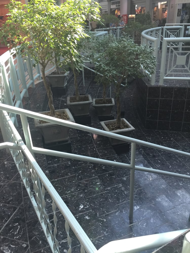 Galleria Mall Shopping Centers 2922 Watson Blvd, Centerville, GA Phone Number Yelp