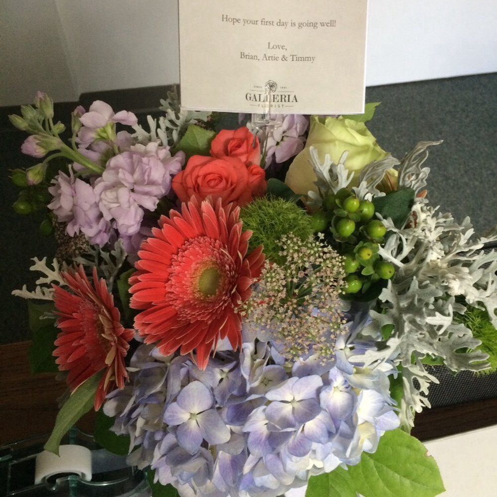 Galleria Florist 33 Photos & 51 Reviews Florists 7187 Lee Hwy, Falls Church, VA Phone