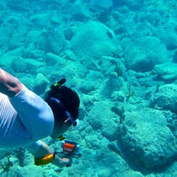 Snorkel Panama City Beach Closed Tours 3824 Hatteras Ln Photo Of Snorkel Panama City Beach Fl United States