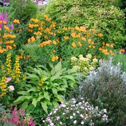 Plant By Numbers Garden Design natural wetland transitioning to dryland emulate this in a garden design 1 river Photo Of Anne Macfie Garden Design Glasgow United Kingdom Front Garden Planting Plant By Numbers Garden Design planting design tips Photo Of Anne Macfie Garden Design Glasgow United Kingdom Front Garden Planting