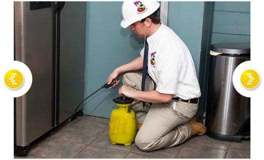Petty Pest Control