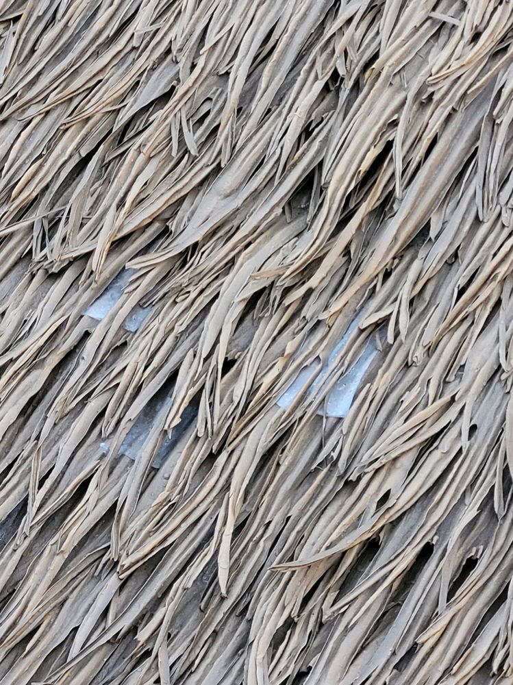 image of business Palapas Texas