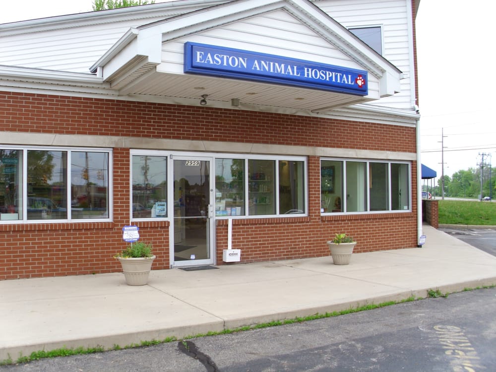 Easton Animal Hospital 10 Reviews Veterinarians 2959 Stelzer Rd, Columbus, OH Phone