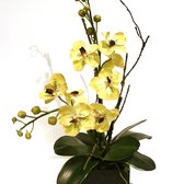 California Silk Plant Company Home Decor 27781 B La Paz Rd Photo Of California Silk Plant Company Laguna Niguel Ca United States