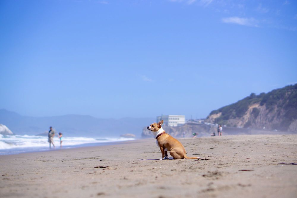 RV Rentals in San Francisco, CA Ocean Beach