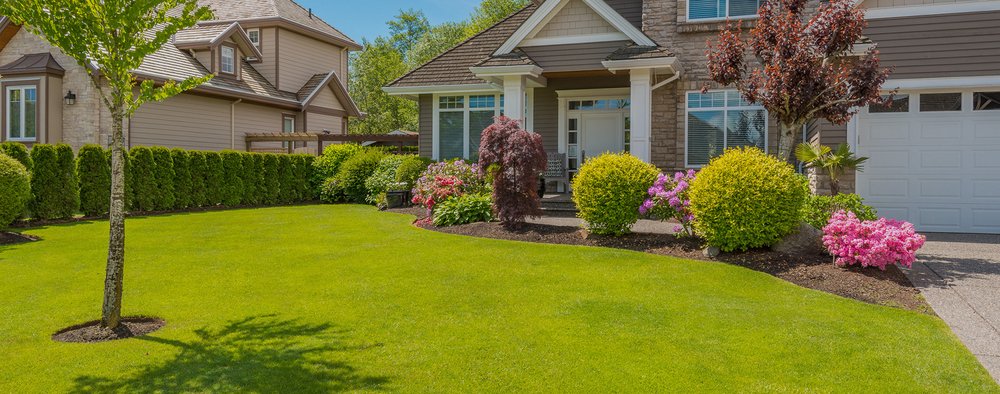 V Maintenance Landscaping Professional