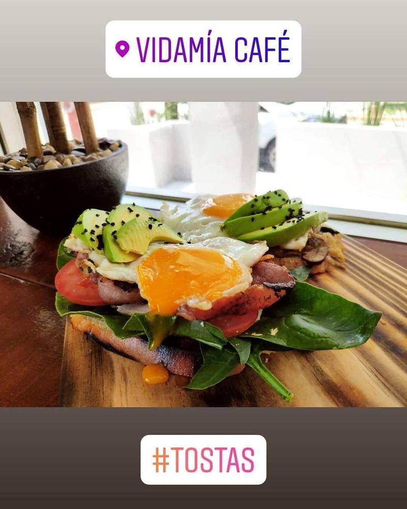 Vidamía