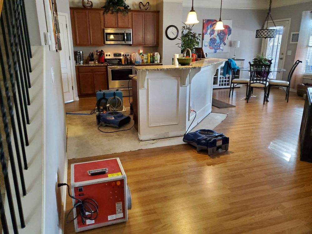 image of business Hampton Restoration Group