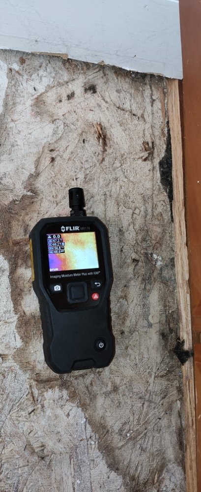 Mold Xperts