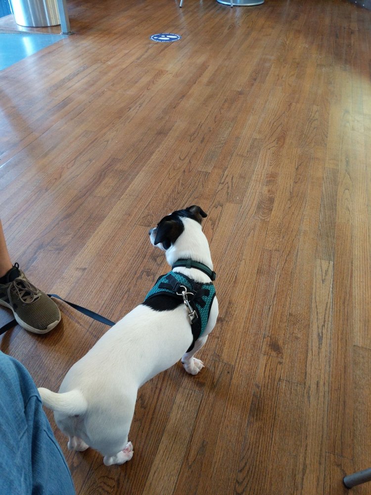 Smitty's Homemade Ice Cream